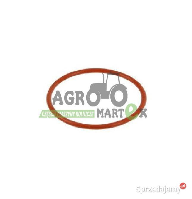 17284481 2387141 14459981 ORING TŁOKA Wichrów