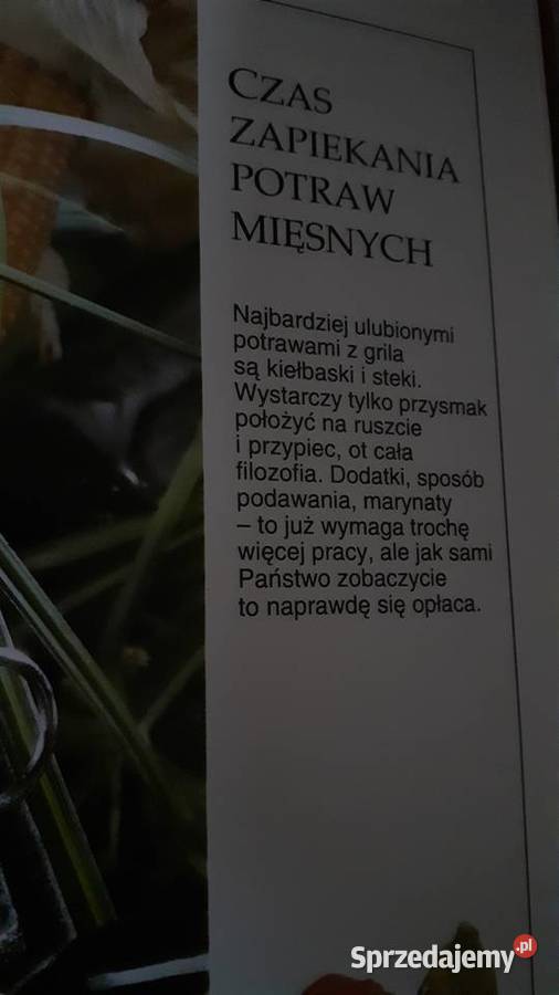 Grill fartuch zachodniopomorskie Szczecin