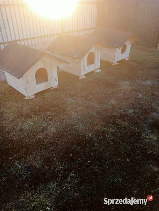 Buda psa legowisko Pionki