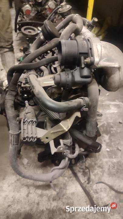 SILNIK PSA 4HY BOXER JUMPER 22 HDI LIFT 0206 110 Włoszczowa