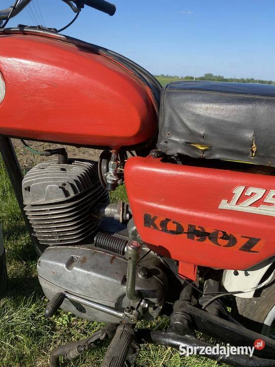 Wsk 175 KOBUZ turystyczny Poznań