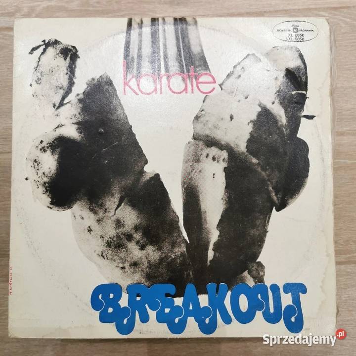 Stare płyty winylowe Warszawa sprzedam