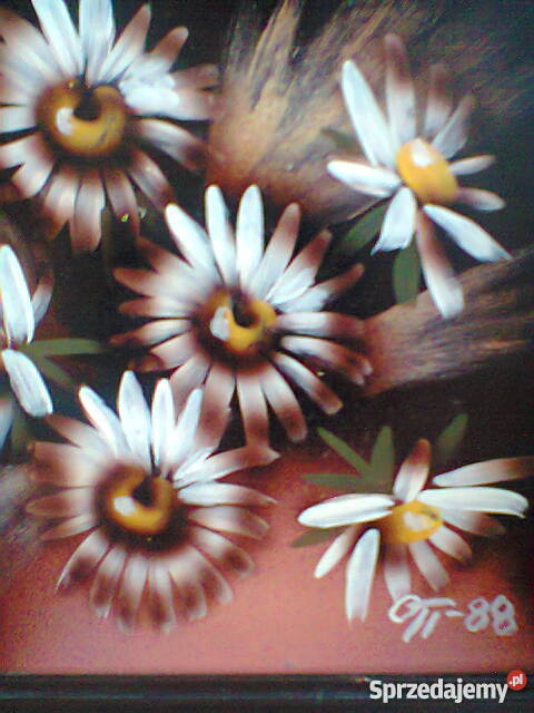 Obrazki olejne kwiaty i pejzarz Szczecin