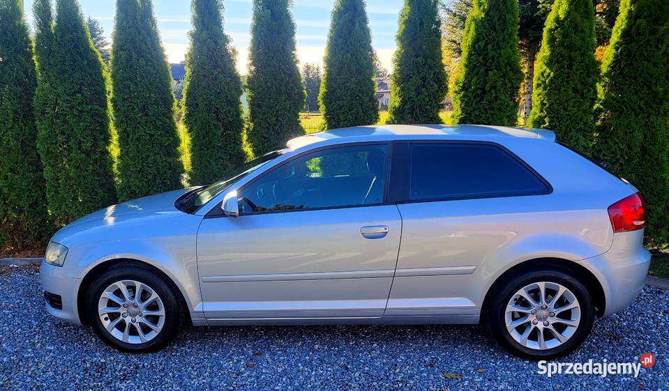 Audi A3 Lift CLIMATRONIC Xenon Alu Podgrzewane Kraków