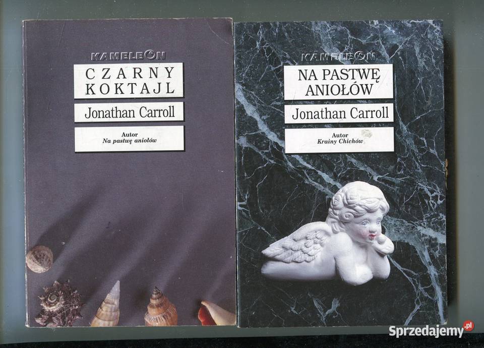 Na pastwę aniołów Czarny koktajl Jonathan Szczecin