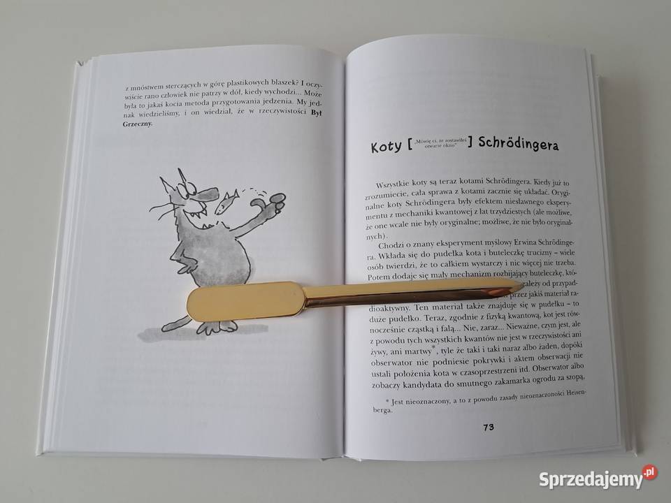 Książka Kot w stanie czystym T Pratchett G Kraków
