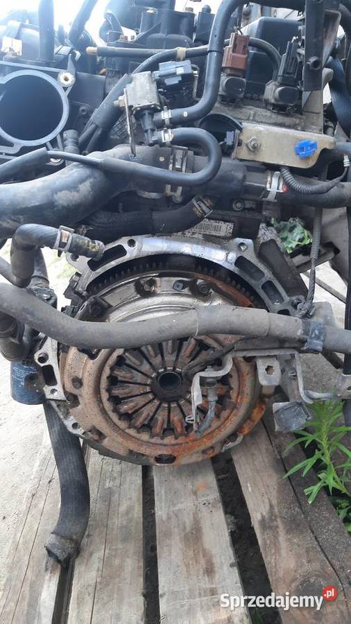 silnik 20 16V kompletny Mazda V 5 6 LF556690 LF dolnośląskie Korzeńsko