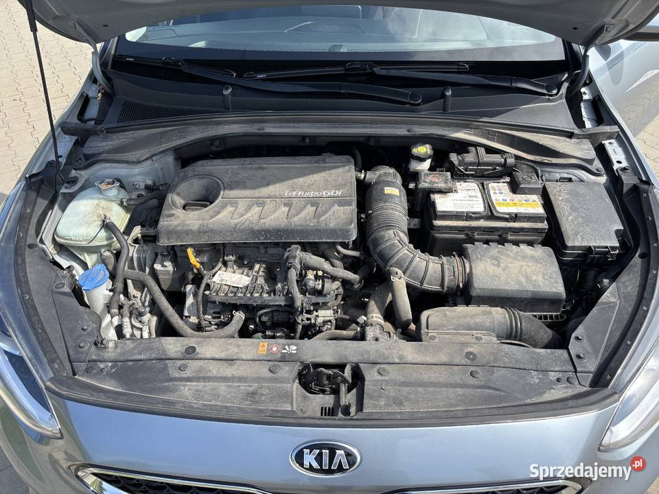Kia Ceed 14 TGdi salon Polska wzorowy stan 1400cm3 Warszawa