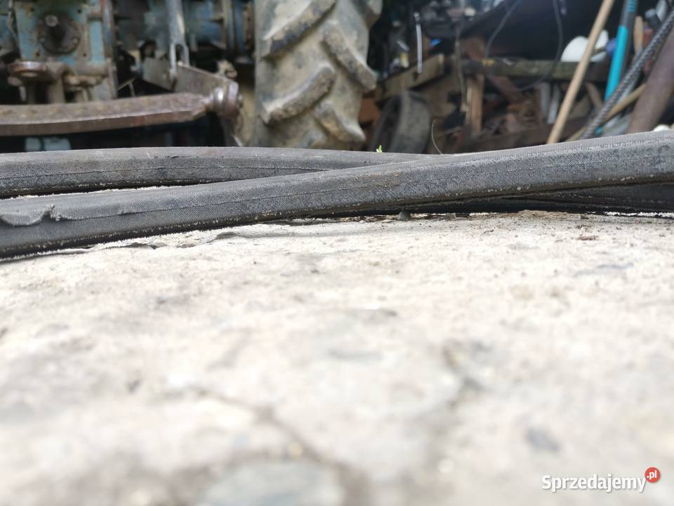 Pasek podsiewacza Claas Europa Głobikowa