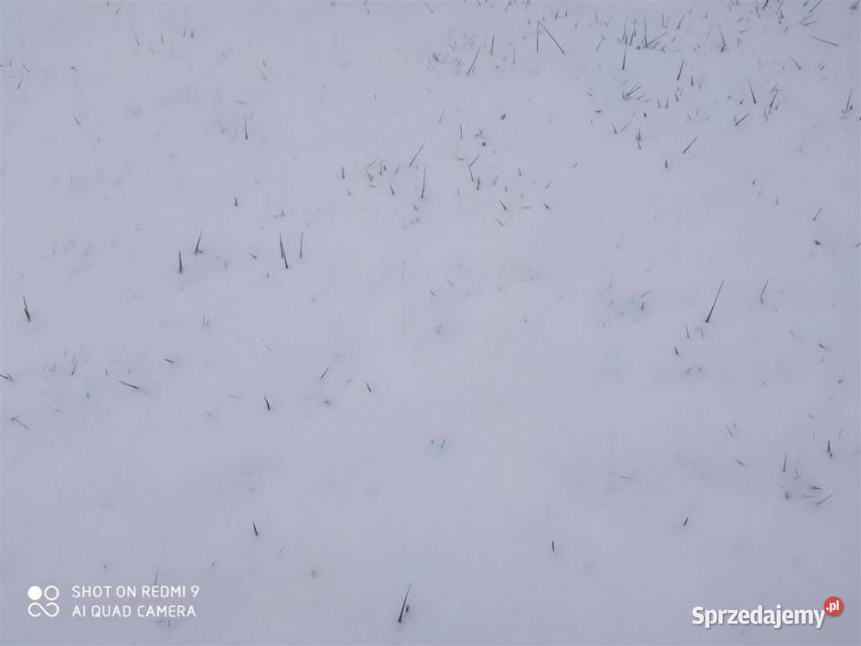 Działka 2658 ar Rzeszów Matysówka na sprzedaż 30643zł/m2