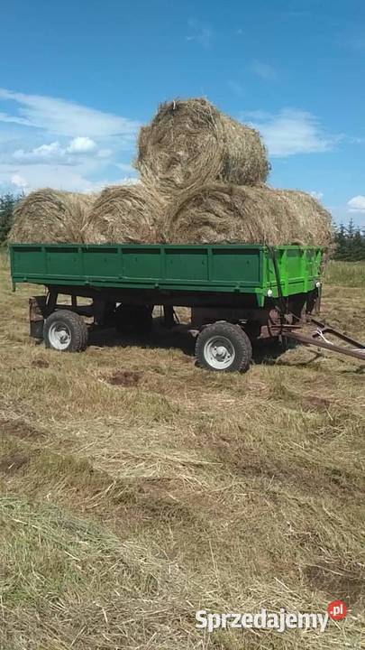 Siano 130x120 pierwszy pokos Produkcja roślinna łódzkie Opoczno