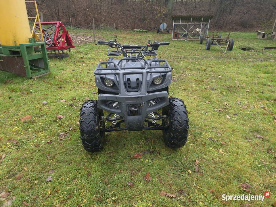Quad Bashan 250 Ulanica