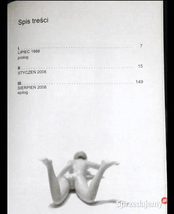 Powieść mężczyzn Michal Viewegh Pozostałe Chełm