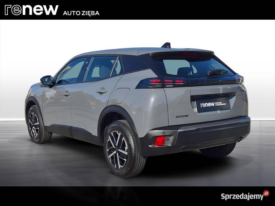 2008 PureTech 100 Active SS BVM6