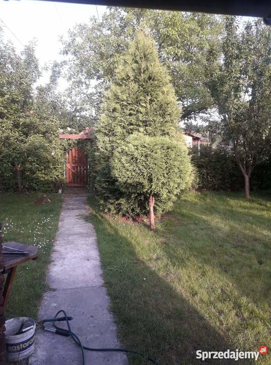 Działka rekreacyjna szambo