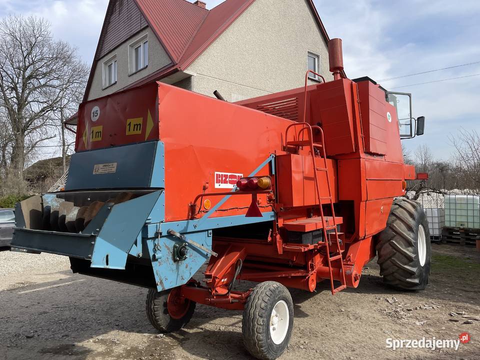 Bizon nieuszkodzony Kłyż