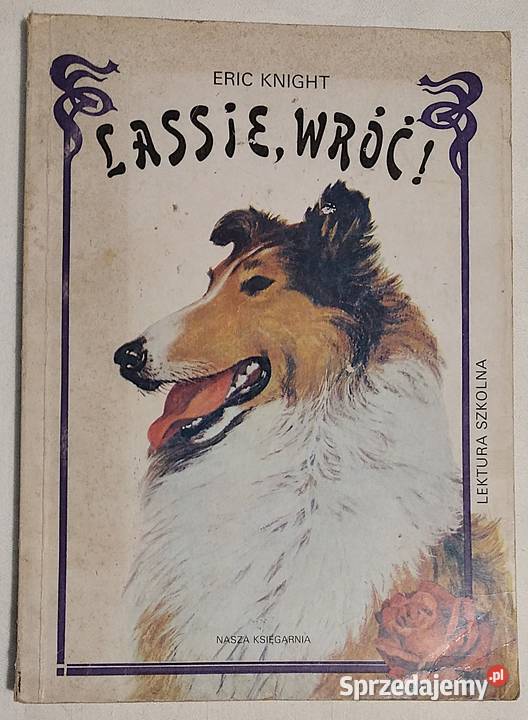 książki młodzieży Bukowno