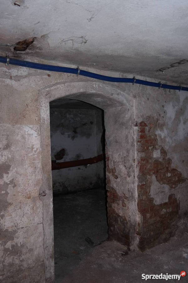 Sutereny w Liczba pokoi 6 Kętrzyn