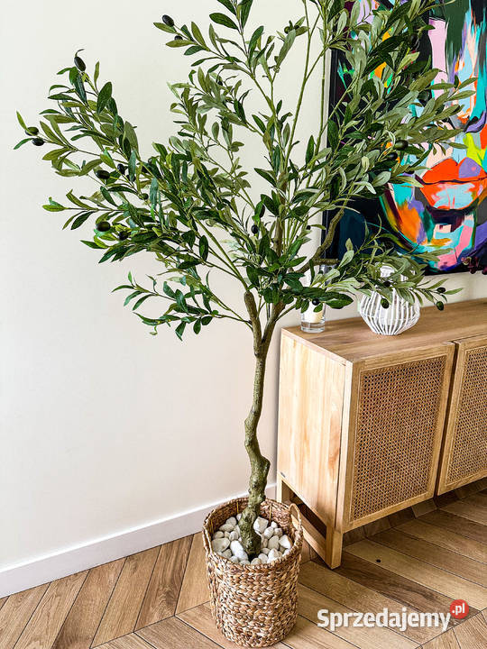 Sztuczne Drzewko Sztuczna Oliwka 180 190 Gliwice sprzedam