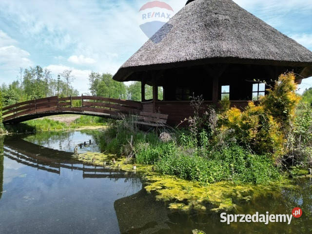 Dom w lesie na pięknej działce Kościerzyną Sprzedaż Lamk