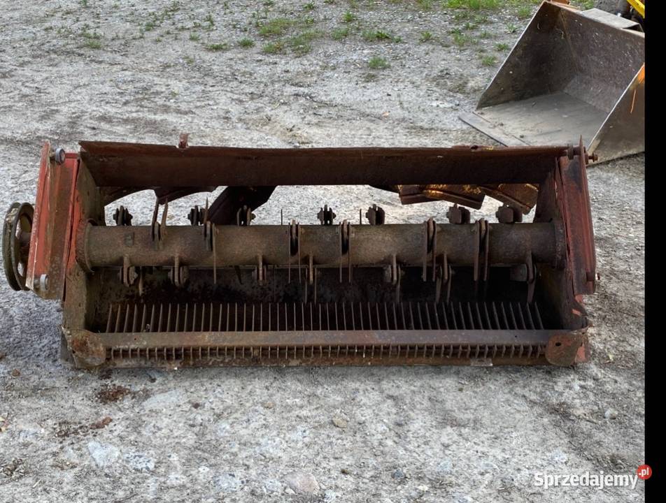 Sieczkarnia Massey Ferguson lubelskie Bychawa