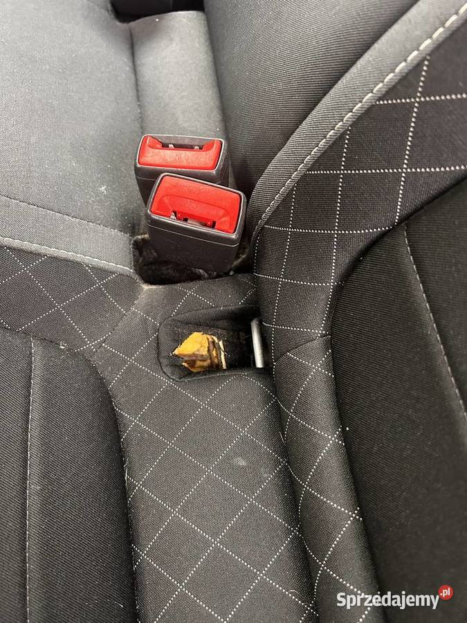 Skoda Fabia 10 Ambition Żywiec