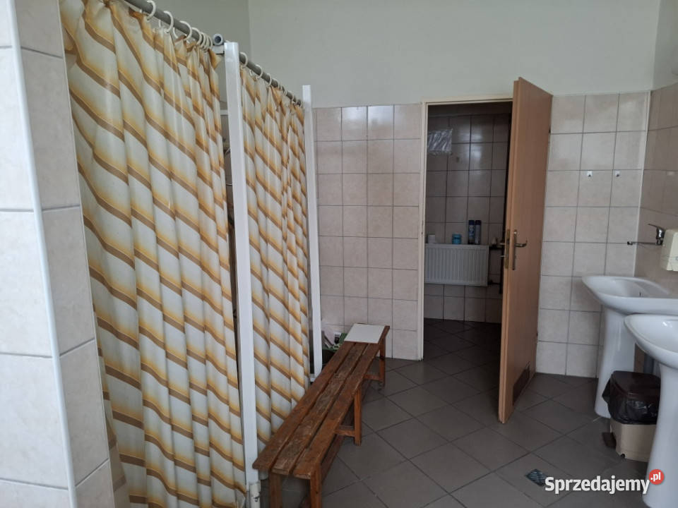 Hala produkcyjna pomieszczenia usługowe