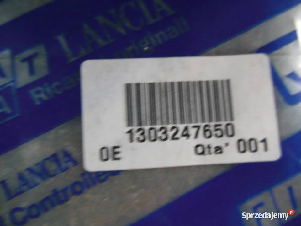 Panel Drzwi Przednich Fiat Ducato 1303247650 osobowe śląskie Kozy