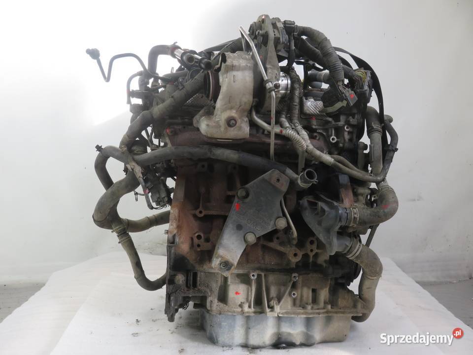 SILNIK FORD TRANSIT CUSTOM 20 ECOBLUE YLF6 EURO