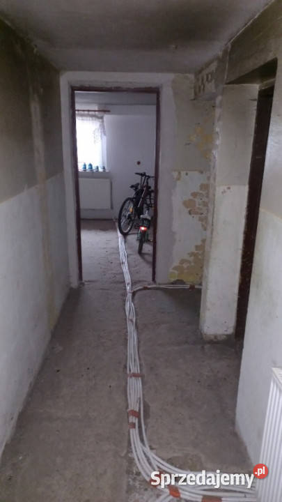 Sprzedam dom z działką budynki inwentarskie 2720m2 Sprzedaż wielkopolskie Darnowo