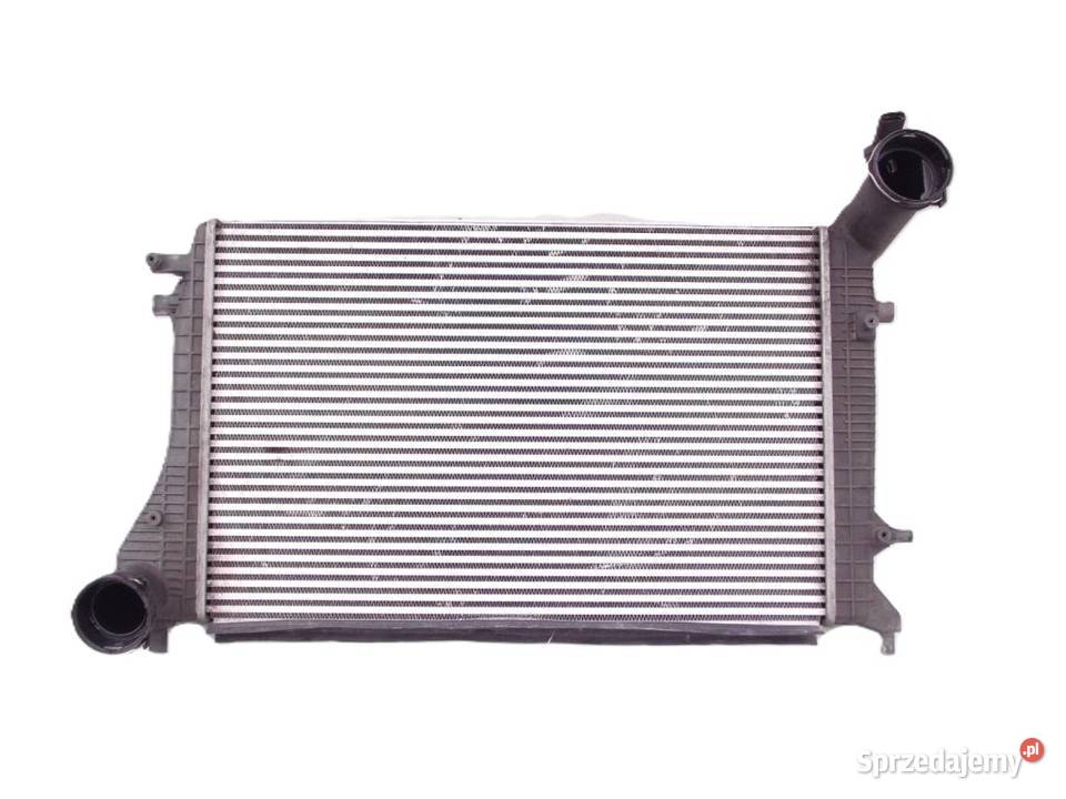 VW Touran EOS GOLF PLUS SEAT SKODA 20 TDI Biała Nyska sprzedam