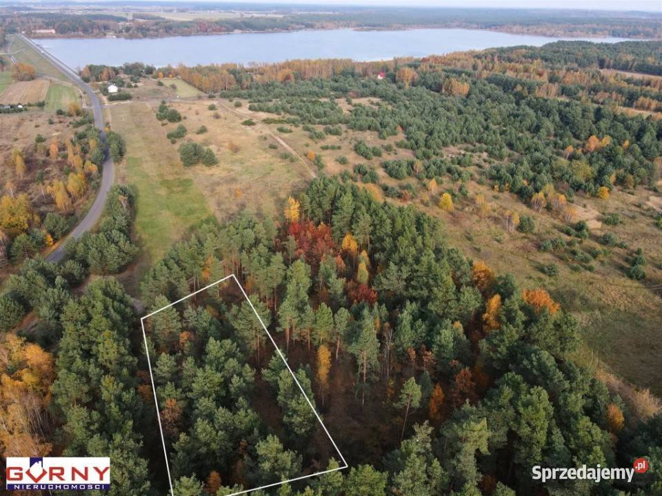 Działka na sprzedaż Cieszanowice 2650m2 sprzedam