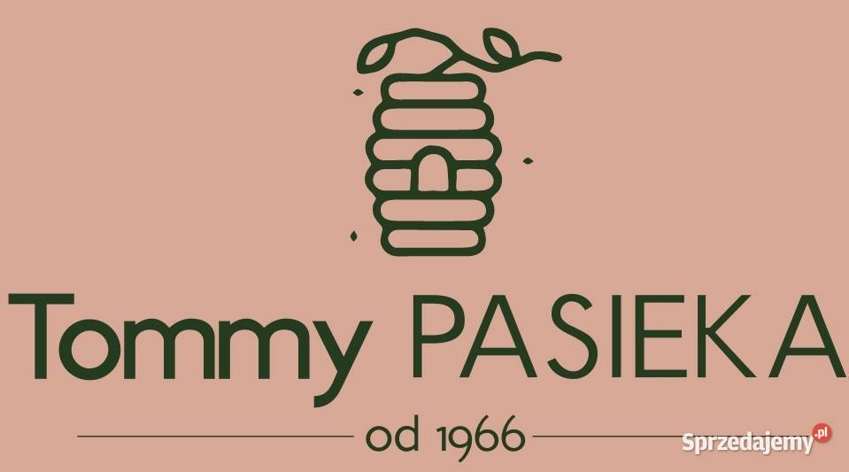 Miód rzepakowy z własnej ekologicznej pasieki Gostyń