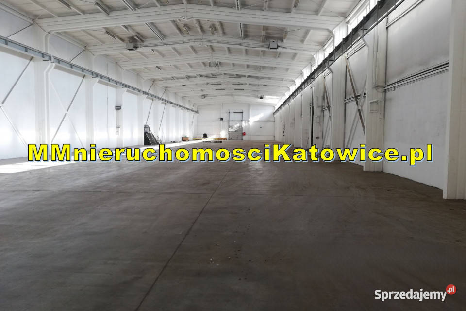 Hala produkcyjna do wynajęcia śląskie Radzionków Wynajem