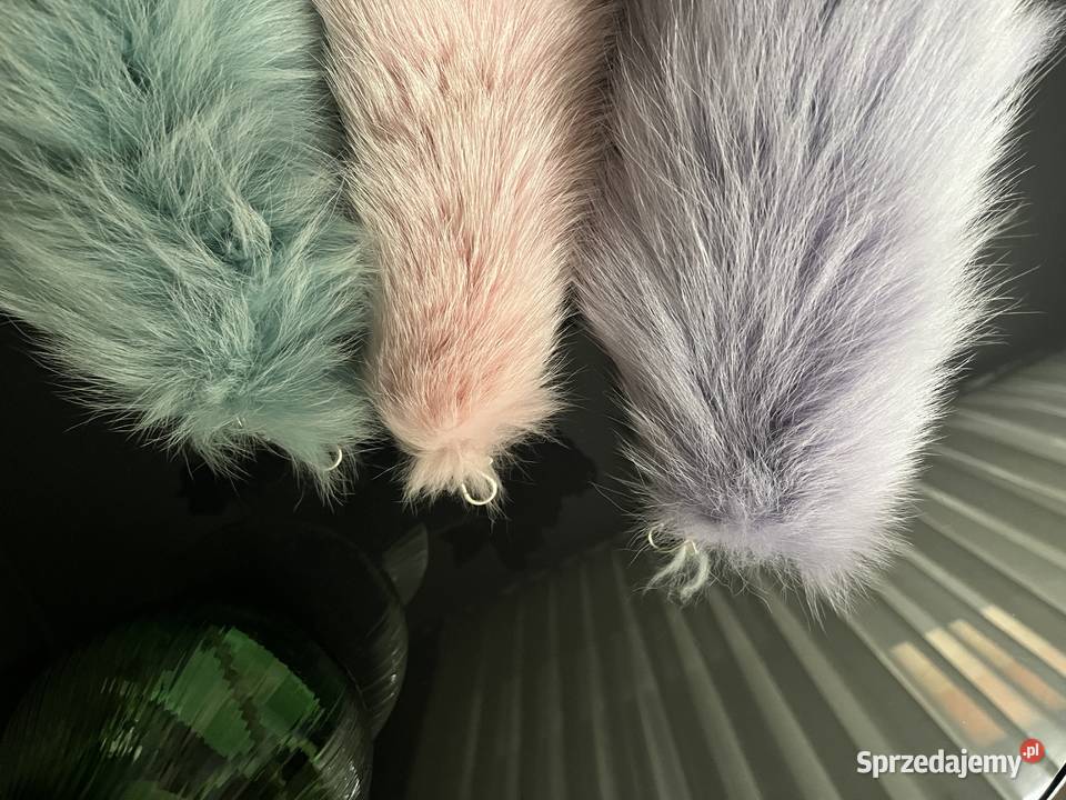 Lisia kitaogonbrelok z lisa kolor pudrowy małopolskie Szaflary