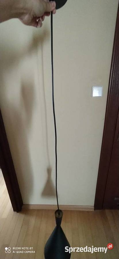 lampa sufitowa wisząca czarna wielkopolskie Poznań