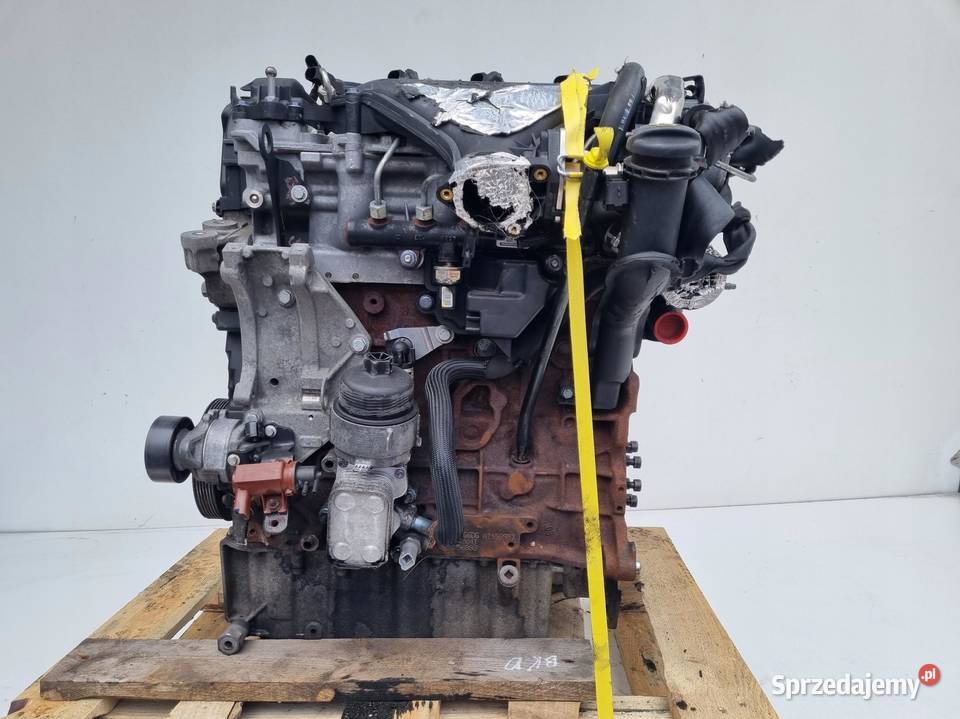 SILNIK KOMPLET Ford Kuga 20 TDCI 136 ładnie Rudka