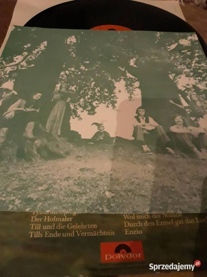 Muzyka niezwykła OUGENWEIDE Enlenspiegelfolk Rzeszów