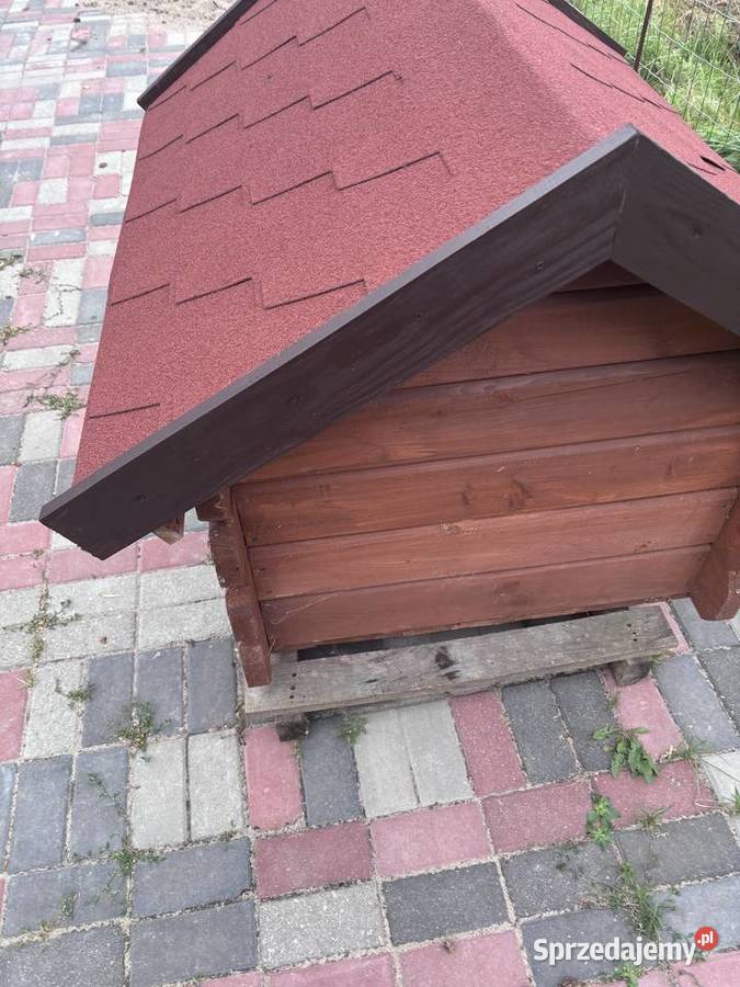 Buda psa Święta Katarzyna