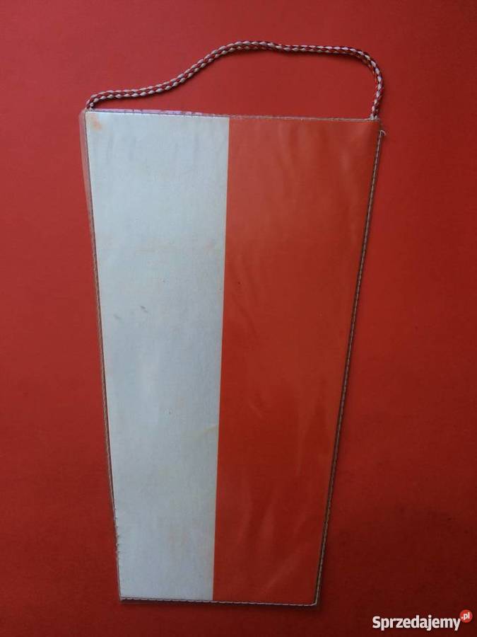 284 Proporczyk Szkolny Związek Sportowy Szczecin