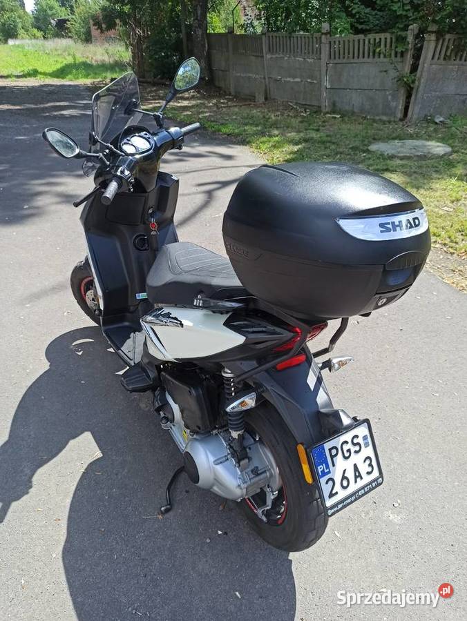 Piaggio typhoon 125 3 bagażnik Piaggio Borek Wielkopolski sprzedam