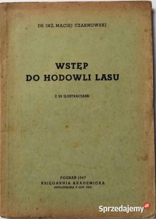 WSTĘP DO HODOWLI LASU Czarnowski Osięciny