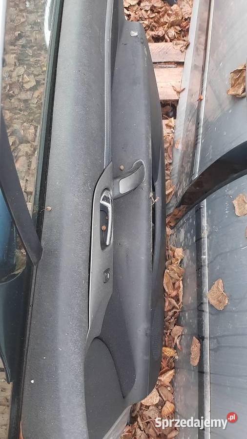 drzwi prawe lewe przednie tylne Peugeot 407 lak Dębno