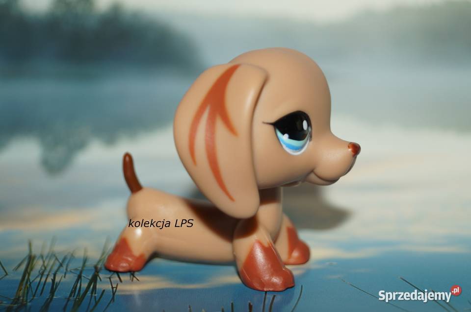 LPS Littlest Pet Shop jamnik 1211 oryginalny pop Hasbro Rybnik sprzedam
