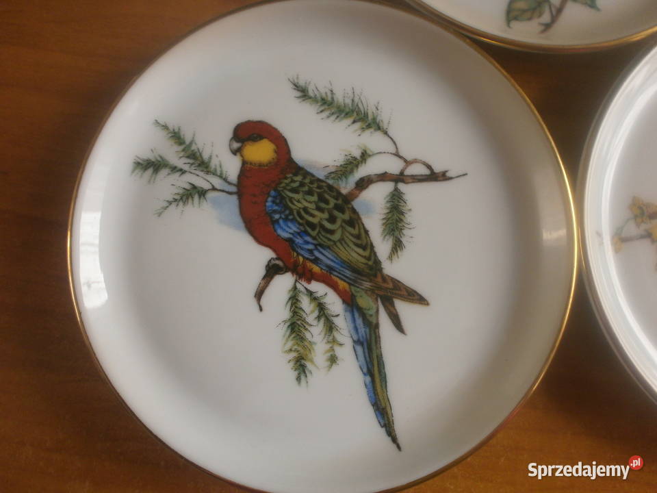piękne porcelanowe talerzyki z papugami Porcelana i szkło Zielona Góra