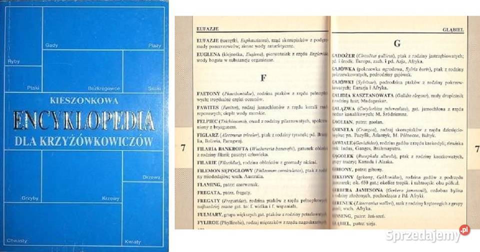 Kieszonkowa encyklopedia krzyżówkowiczów Rok wydania 1992 świętokrzyskie Kielce