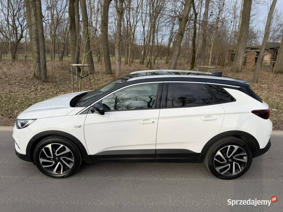 Opel Grandland X 20 CDTI 177 Full Led Navi Józefkowo