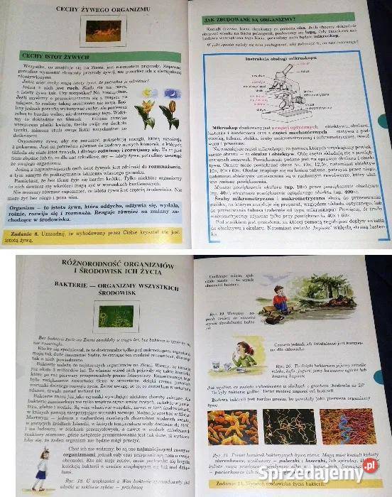 Przyroda kl 5 B Klimuszko M Wilczyńska Wołoszyn miękka lubelskie Chełm