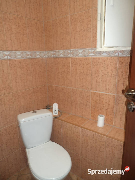 Lokal Świebodzice 60m2