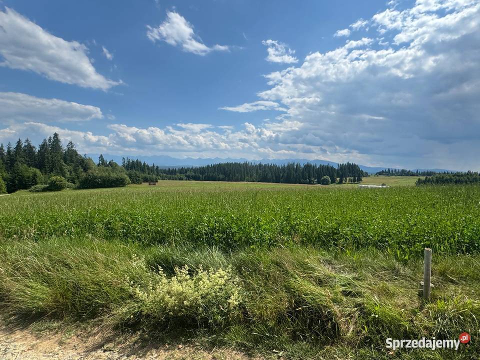 urocza działka budowlana 4200m2 Jabłonka